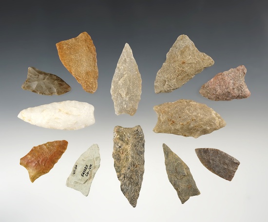 Set of 12 assorted points found in the Virginia and North Carolina area.