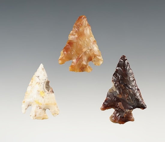 Set of 3 colorful Hells Canyon Points found in Washington & Oregon. The largest is 1 11/16".