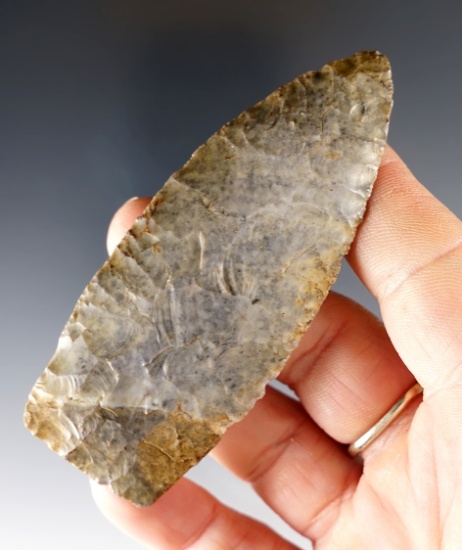 Well flaked 3 3/8" Paleo Lanceolate found in Medina Co., Ohio. Ex. Williams collection.