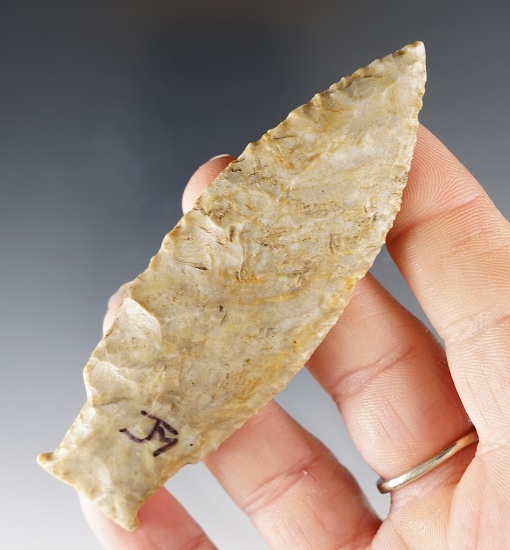 Superb! 3 7/16" Paleo Stringtown Lance with basal "barbs". Found in Tuscarawas Co., Ohio.