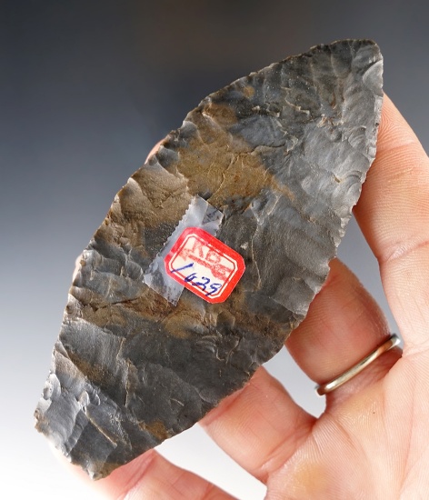 Nicely styled 3 7/8" Paleo Lanceolate found in Lawrence Co., Ohio.