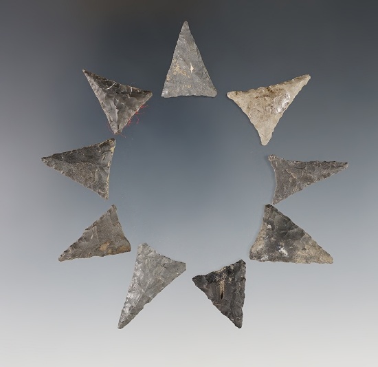 Set of 9 Triangle Points found at Genoa Fort, Cayuga Co., New York.