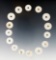 Set of 15 Shell Disc Beads found at the White Springs Site, Geneva, New York. The largest is 3/4