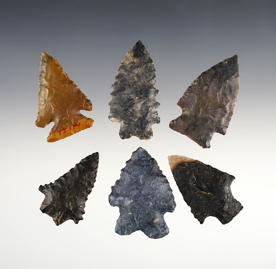 Set of 6 assorted points found mostly in Ohio. The largest is 2 1/16".