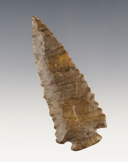 2 3/4" Dover Chert Decatur found in Wayne Co., Tennessee. Dickey COA.