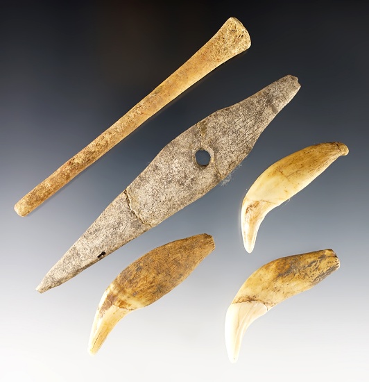 Set of 5 assorted bone artifacts and bear teeth found on the Blood Hill Site, Onondaga, NY.