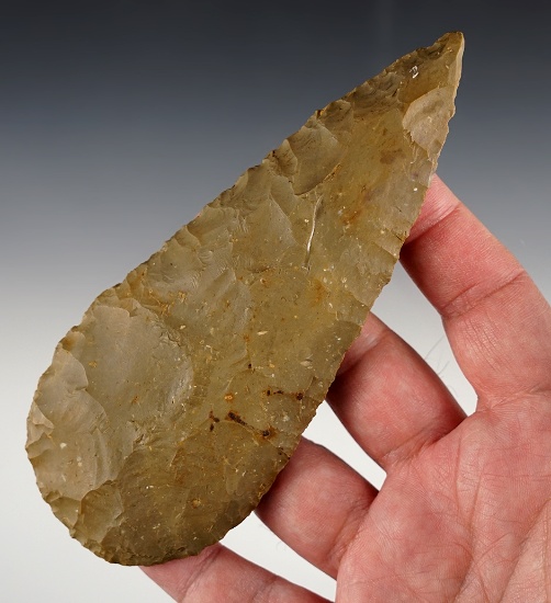 Large 5 7/16" leaf-shaped Blade found in Western Kentucky. Very slight burin to one side of the tip.