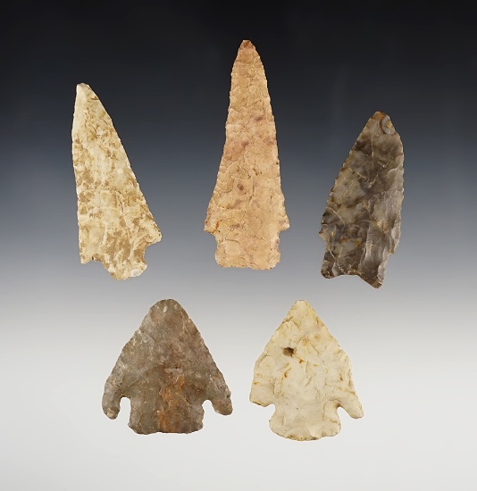 Set of 5 assorted points found in Hardy, Arkansas by Henry Hudson Norman Jr. in the 1930's.