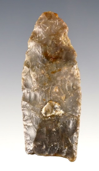 Fine 2 1/4" Paleo Holcombe found in Crawford Co., Pennsylvania. Dickey COA.