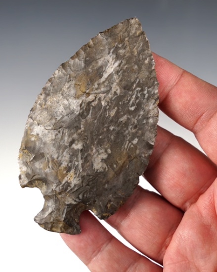 Exceptional 3 5/8" Table Rock found in Fairview, Pennsylvania. Onondaga Flint.