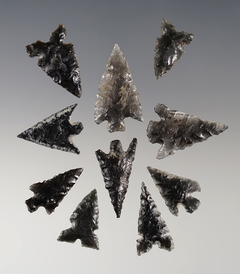 Set of 10 assorted Obsidian Arrow Points recovered in the Klamath Lake, Oregon area.