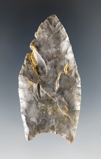 2 11/16" Paleo Fluted Clovis made from Coshocton Flint. Comes with a Bennett COA.