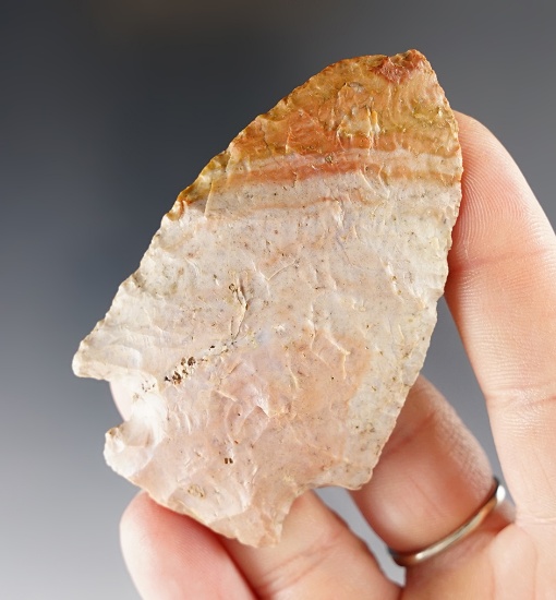Pictured! 2 13/16" Archaic Broadblade - Nethers Flint. Champaign Co., Ohio. Ex. Converse, Root.