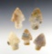 Set of 5 colorful Adena points made from Flint Ridge Flint. Found in Ohio. The largest is 2 1/8