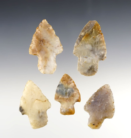 Set of 5 colorful Adena points made from Flint Ridge Flint. Found in Ohio. The largest is 2 1/8".