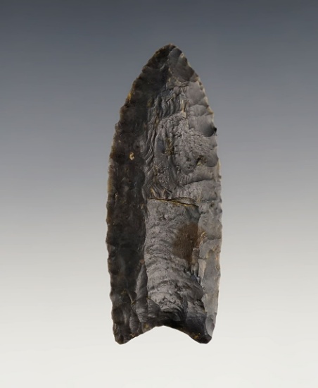 Classic style on this 2 7/16" Fluted Paleo Clovis found in Knox Co., Ohio. Berner COA.