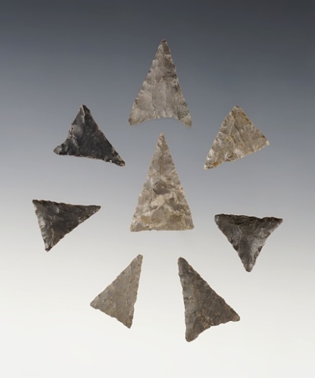 Group of 8 Triangle Points found at the Genoa Fort Site in Genoa, New York.
