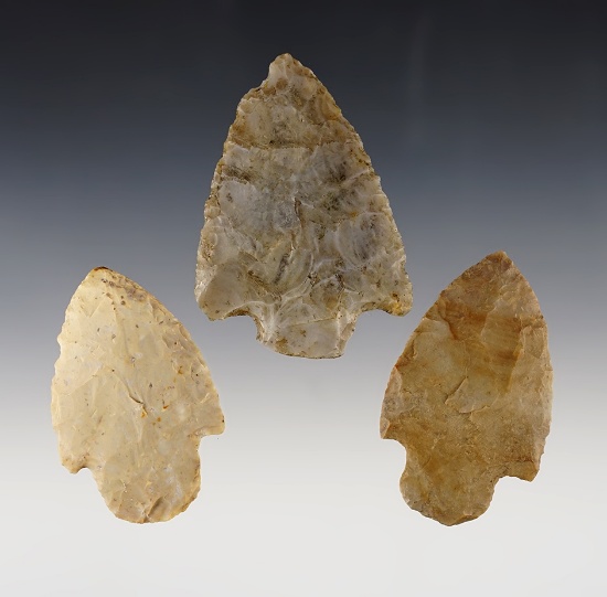 Set of 3 well made Adena points found in Ohio & Indiana. The largest is 2 7/8".