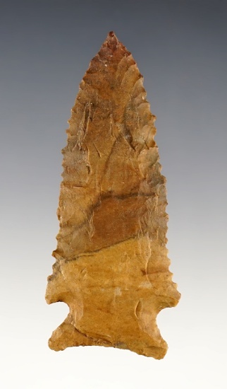 2 15/16" Pinetree that is nicely styled from Buffalo River Chert. Found in Tennessee. Davis COA.