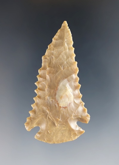 2 3/8" finely flaked Pinetree with excellent serration. Made from Carter Cave Flint. Found in Clark
