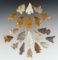 Set of 20 assorted New Mexico points in good condition. The largest is 1 5/8