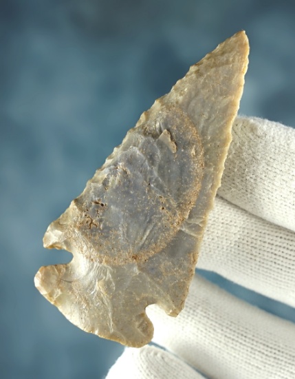 2 7/8" Archaic Dovetail made from Hornstone with a nice "Bullseye". Found in Adams Co., Ohio.