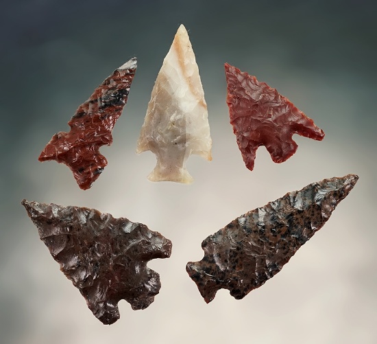 Set of 5 well made Oregon Gem Points. The largest is 1 3/8".