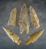 Set of 5 assorted Texas points in nice condition. The largest is 3 5/16