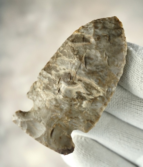 2 5/8" Newton Falls found in Huntington Co., Indiana by Jim Bickel. COA. Ex. J.C. Chambers.