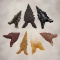 Set of 7 nice and well styled New Mexico Points. The largest is 15/16
