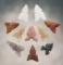 Set of 10 Side Notch Arrow Points found in New Mexico. The largest is 13/16