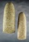 Pair of Hardstone Neolithic Celts found in the northern Sahara Desert region of Africa.
