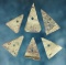 Set of 6 perforated Kettle Points found at the Burrell Creek Site in Livingston Co., New York.
