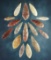 Set of 16 Neolithic Willow Leaf Blades. Found in the northern Sahara Desert region of Africa.