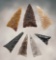 Set of 7 assorted New Mexico Triangle Points. The largest is 15/16