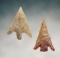 A Wallula and a Columbia Plateau. The larger is 1