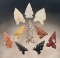 Set of 10 nice New Mexico Points. The largest is 1 5/16