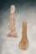 Pair of Drills recovered in Wasco Co., Oregon. The larger is 1 1/2