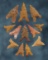 Set of 12 nice New Mexico Points. The largest is 1 1/16