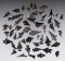 Set of 50 assorted Obsidian Points found in New Mexico. The largest is 1 7/16