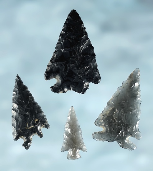Set of 4 Obsidian points including two Elko's, a 1 7/16" Pinto Basin, and a 1" Rose Springs.