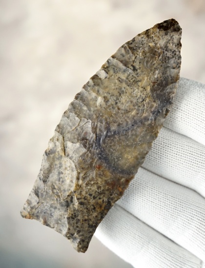 Fine 3 7/16" Suwannee found just north of the Florida/Georgia line. Ex. Dr. Albert Welberry.