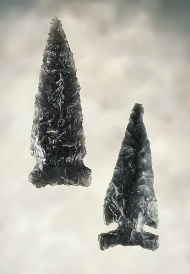 Pair of nice Obsidian Sidenotched Points found in Oregon. The larger is 2 3/4".
