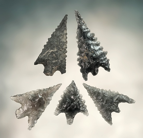 Set of 5 finely flaked Arrow Points found in California. The largest is 1 3/16".