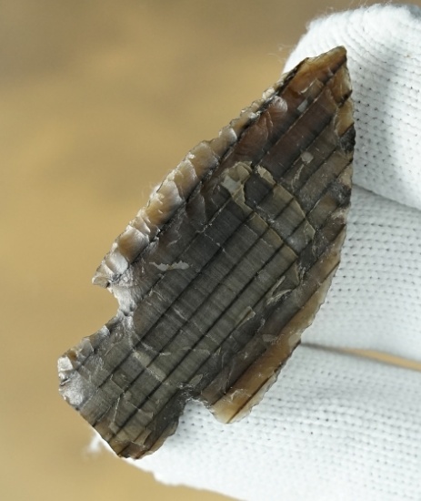 Thin 2" Petrified Wood Knife found in Benton Co., Washington. Ex. Charlie Mitchell (YIM).