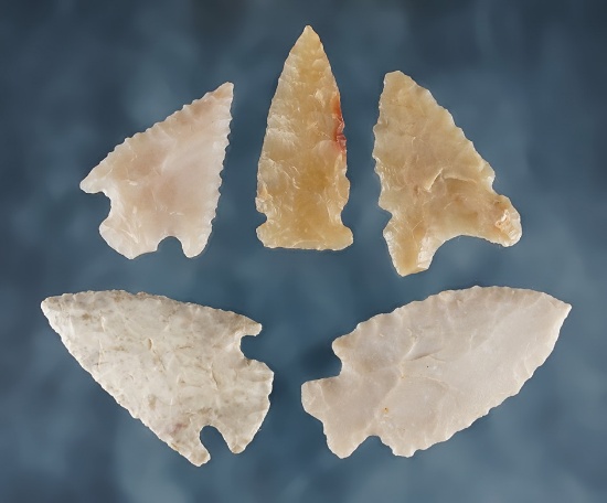 Set of 5 assorted New Mexico points in nice condition. The largest is 1 13/16".
