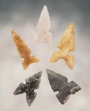 Set of 5 nice Side Notch Arrow Points found in New Mexico. The largest is 15/16