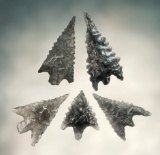 Set of 5 finely flaked Arrow Points found in California. The largest is 1 3/16