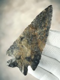 SUPERB! 4
