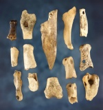 Set of 13 worked Bone pieces and artifacts. Found in Gallia Co., Ohio. The largest is 3 1/16